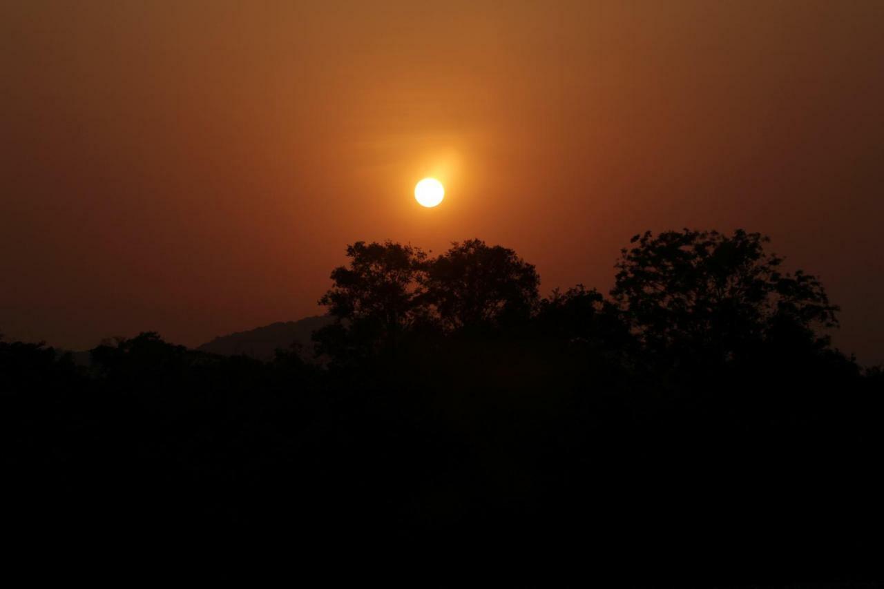 Wasgamu Safari Lodge Wasgamuwa Dış mekan fotoğraf
