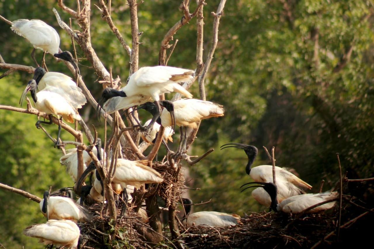 Wasgamu Safari Lodge Wasgamuwa Dış mekan fotoğraf