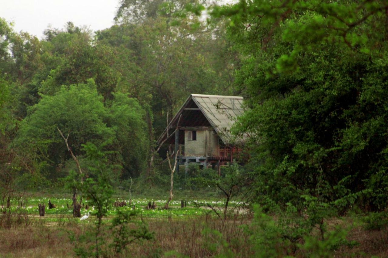 Wasgamu Safari Lodge Wasgamuwa Dış mekan fotoğraf