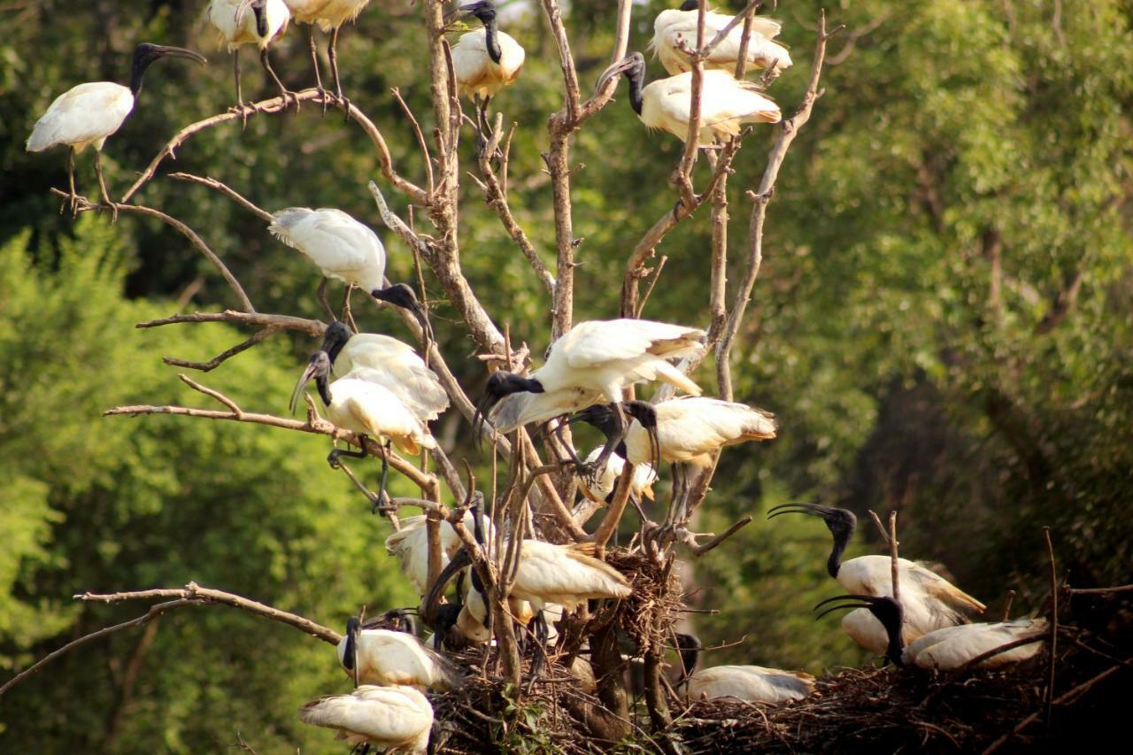 Wasgamu Safari Lodge Wasgamuwa Dış mekan fotoğraf